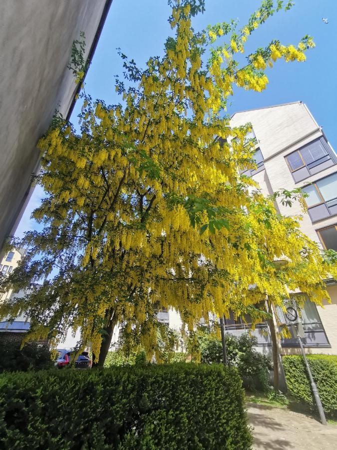 80 Square Metre Flat In The Heart Of Bergen - 2 Big Bedrooms Exterior photo